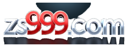 zs999.com logo